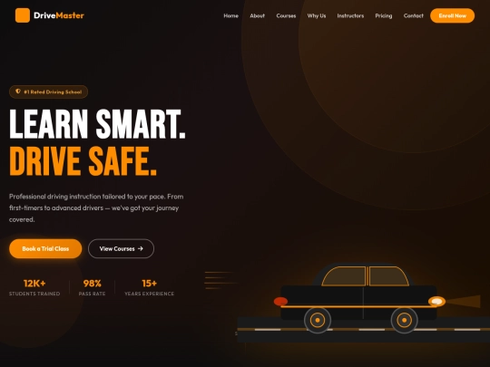 Driving school  screenshot