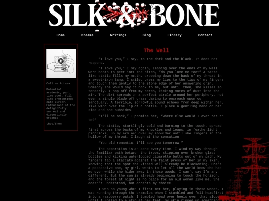 writings/thewell screenshot