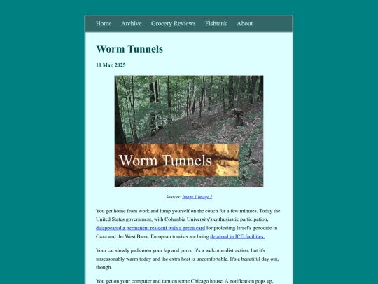 posts/2025-03-10-Worm-Tunnels screenshot