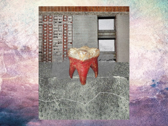 tooth screenshot