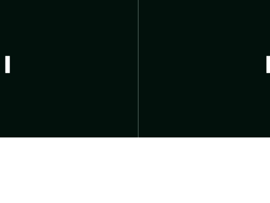 pong/pong2 screenshot