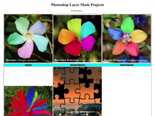 Flower screenshot