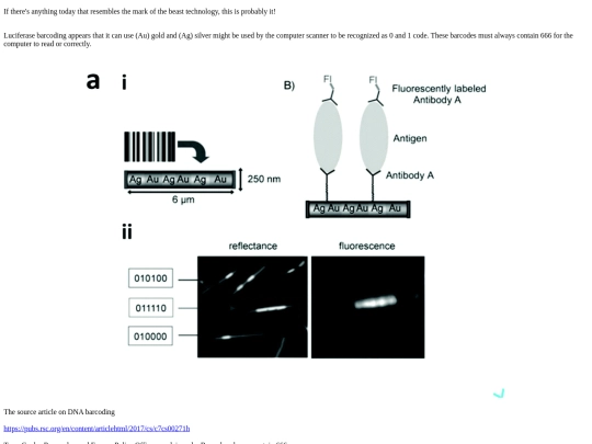 Luciferase screenshot