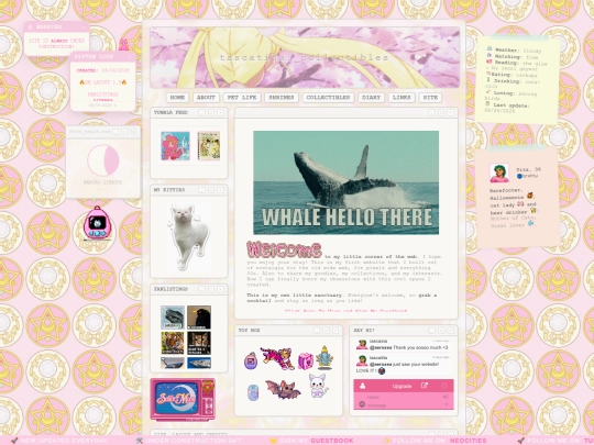 welcome screenshot