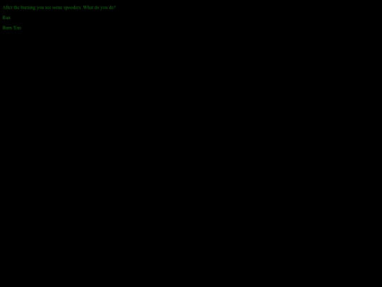 Adventure/Spooder-Torch screenshot
