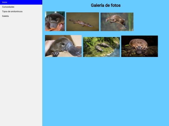 actividad nota/Galería screenshot