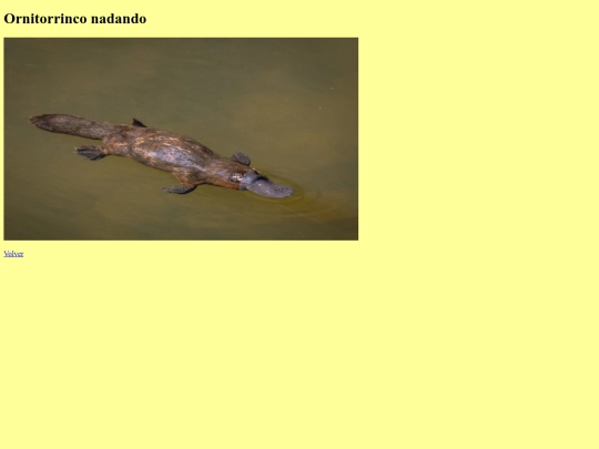 actividad nota/img2 screenshot