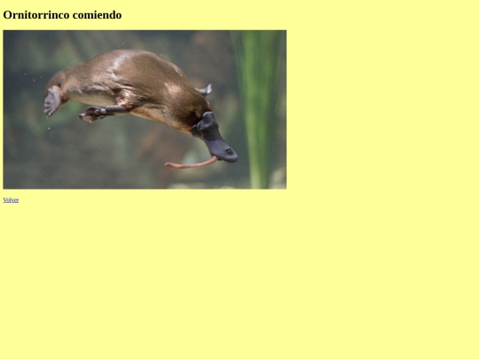 actividad nota/img3 screenshot