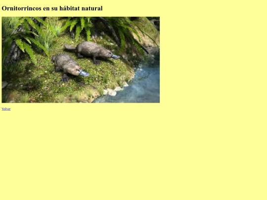actividad nota/img5 screenshot