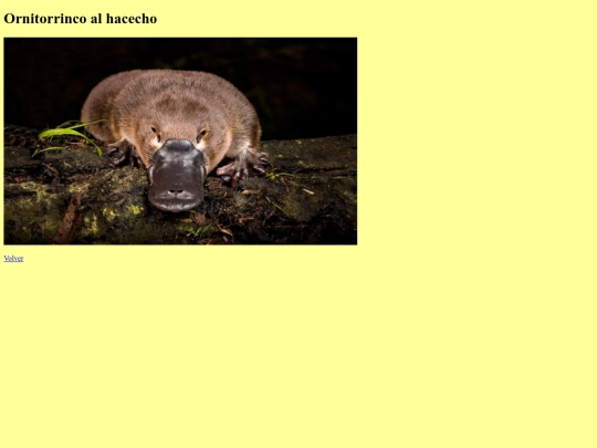 actividad nota/img6 screenshot