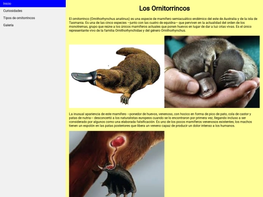 actividad nota screenshot