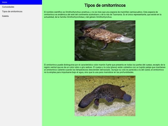 actividad nota/tipos screenshot
