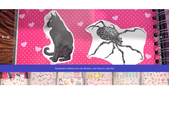 slideshow screenshot