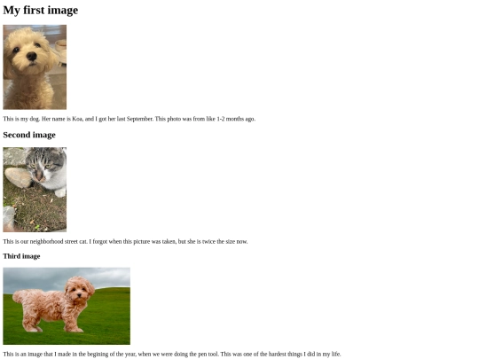 images screenshot