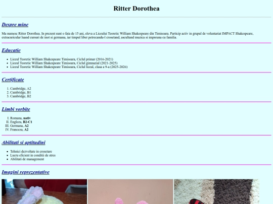 CV screenshot
