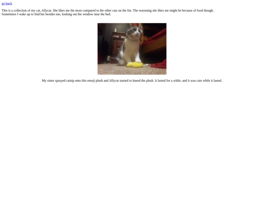 old-acat screenshot