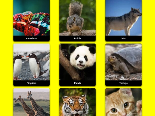 TablaDatosPW/flashcard screenshot