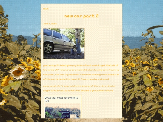 blog/new-car-2 screenshot