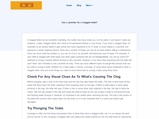 blog/can-a-plumber-fix-a-clogged-toilet screenshot