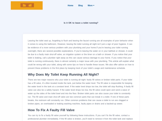 blog/is-it-ok-to-leave-a-toilet-running screenshot