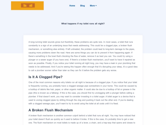 blog/what-happens-if-my-toilet-runs-all-night screenshot