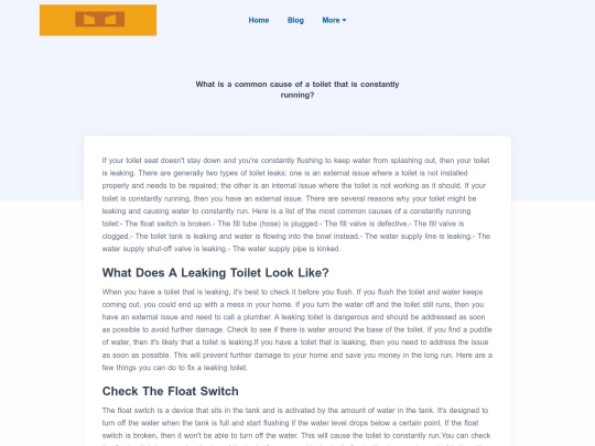 blog/what-is-a-common-cause-of-a-toilet-that-is-constantly-running screenshot