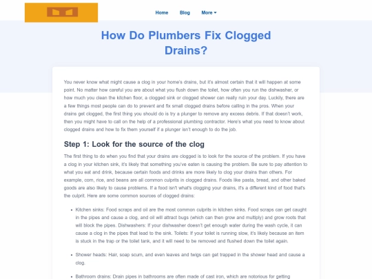 how-do-plumbers-fix-clogged-drains screenshot