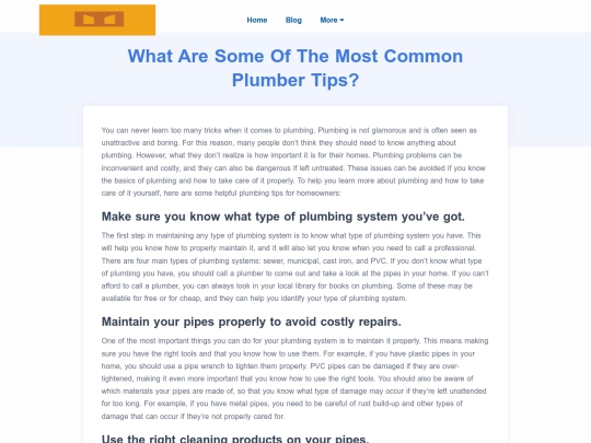 what-are-some-of-the-most-common-plumber-tips screenshot
