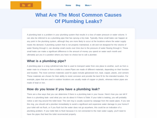 what-are-the-most-common-causes-of-plumbing-leaks screenshot