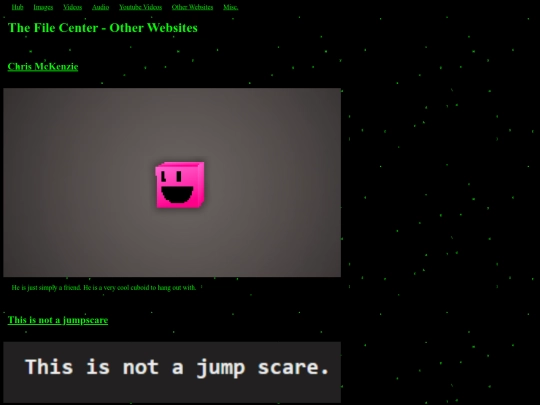 Website 3.0/lowres/thefilecenter/otherwebsites screenshot