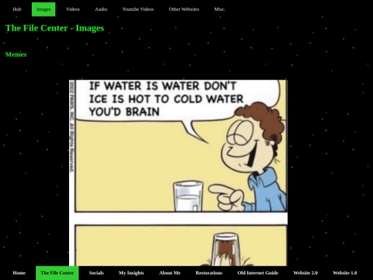 Website 3.0/thefilecenter/pictures screenshot