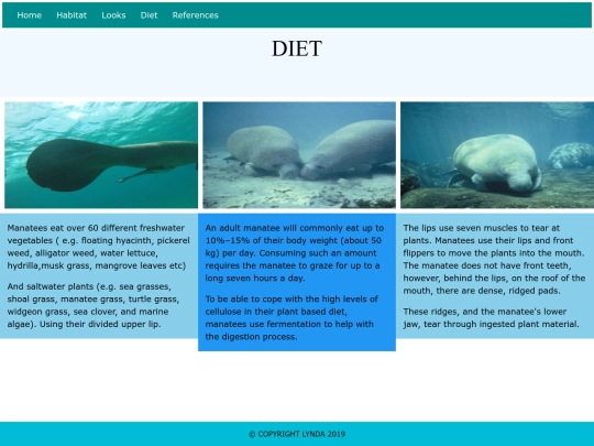 html-assessment/diet screenshot