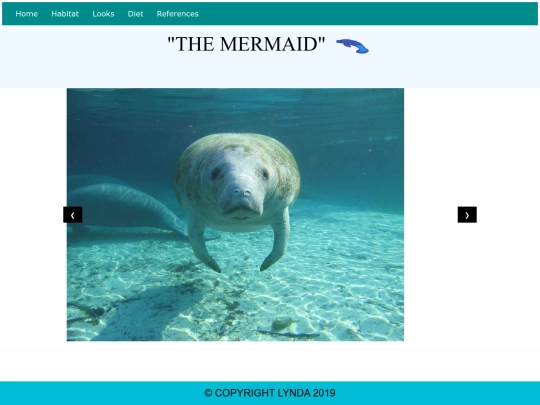 html-assessment screenshot