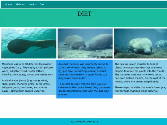 html-assessment/other screenshot