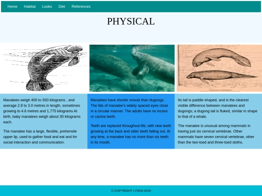 html-assessment/physical screenshot
