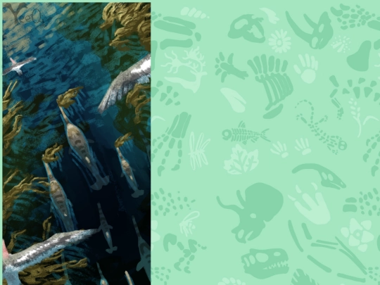 macrodelphinus screenshot