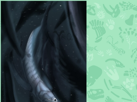 protosphyraena screenshot
