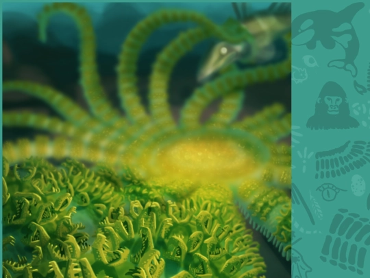 starfish screenshot