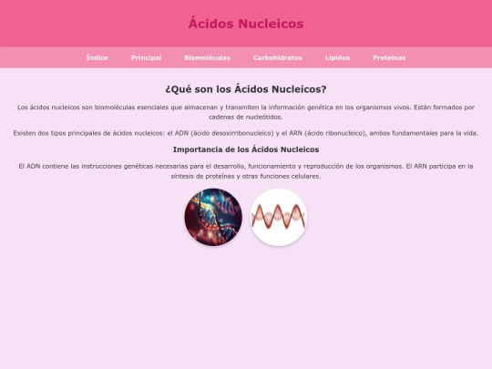 acidos_nucleicos screenshot