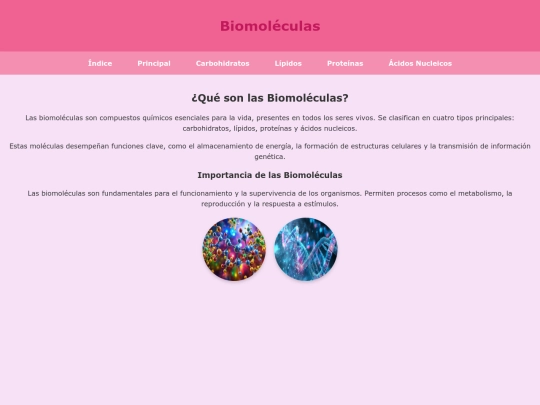 biomoleculas screenshot