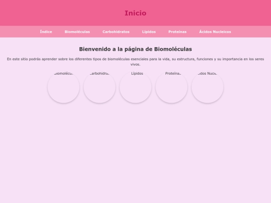 inicio screenshot