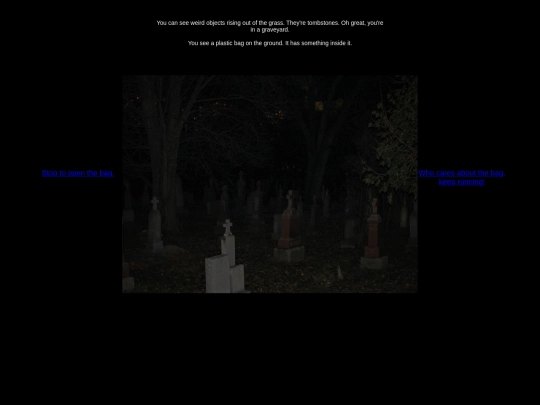 adventure/endings/path1-1-1-1 screenshot