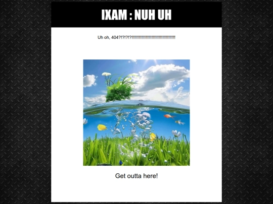 vif screenshot