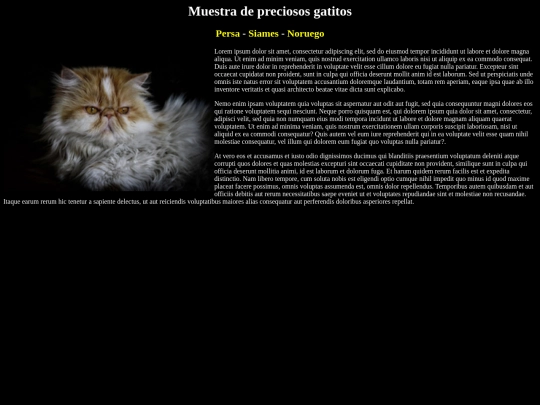 Examen21 screenshot