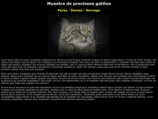 Examen21/noruego screenshot