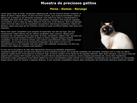 Examen21/siames screenshot