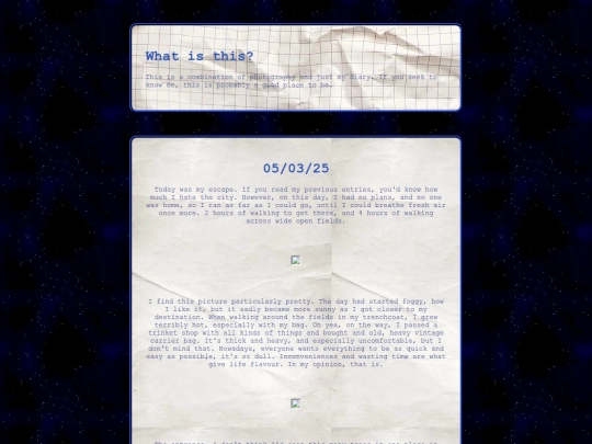 blog screenshot