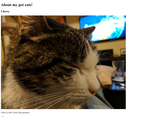 my_pets screenshot
