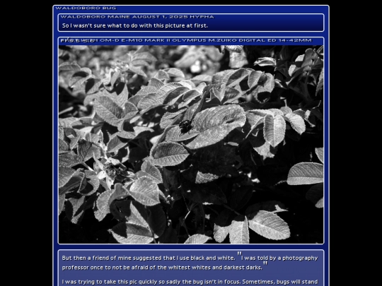 tag/bug screenshot