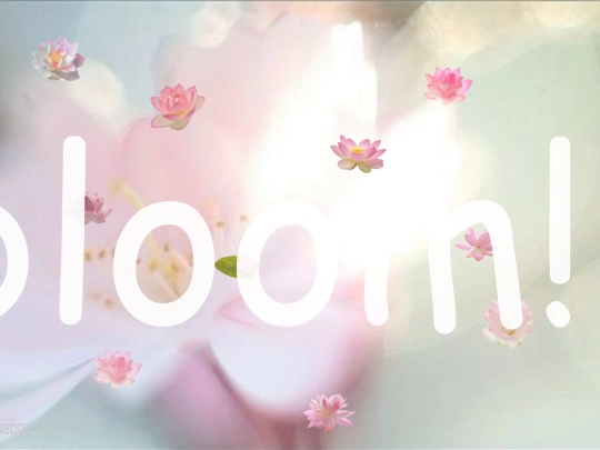 lotus screenshot